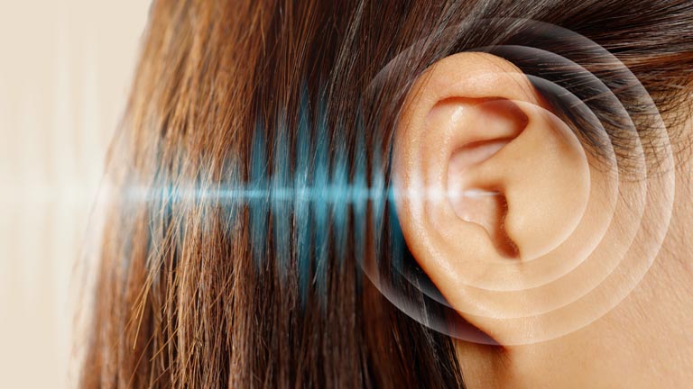 Weiter zu Angepasste Gehörschutz Angepasster Gehörschutz WEIXLER